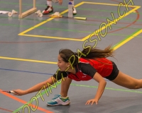 1BULLMINTON - 0355